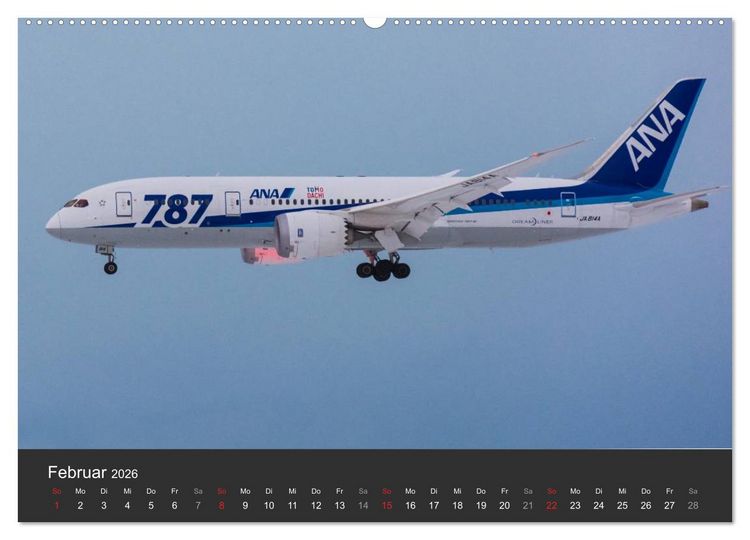 Produktbild: Verkehrsflugzeuge (Wandkalender 2026 DIN A2 quer), CALVENDO Monatskalender