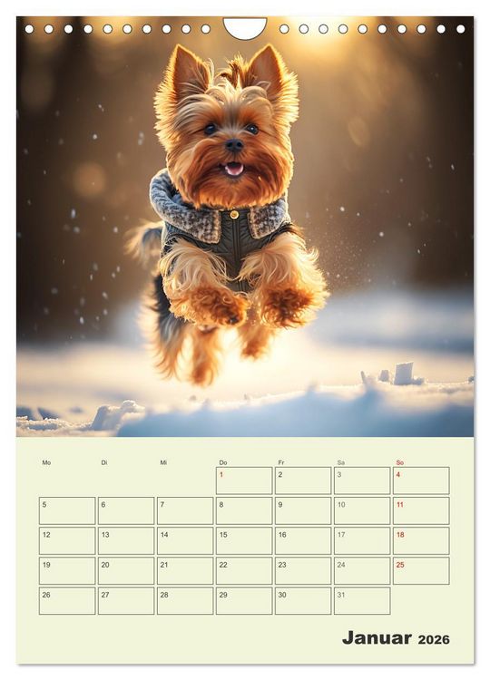 Produktbild: Yorkshire Terrier. Fr&ouml;hliche Energieb&uuml;ndel in Aktion (Wandkalender 2026 DIN A4 hoch), CALVENDO Monatskalender