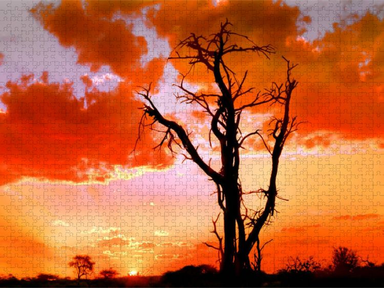 Produktbild: CALVENDO Puzzle Abend in Namibia | 1000 Teile Lege-Gr&ouml;&szlig;e 64x48cm Foto-Puzzle f&uuml;r gl&uuml;ckliche Stunden