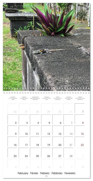 Produktbild: L'ile de la R&eacute;union, un volcan au milieu de l'oc&eacute;an Indien (Calendrier mural carr&eacute; 2026 30x30 cm) Calendrier double avec une page pour vos prises de notes