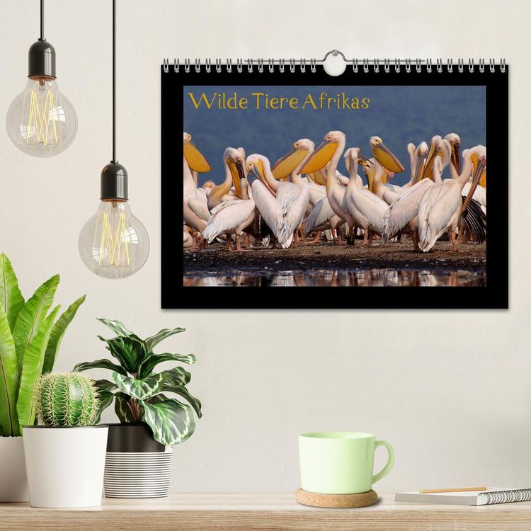 Produktbild: Wilde Tiere Afrikas (Wandkalender 2026 DIN A4 quer), CALVENDO Monatskalender