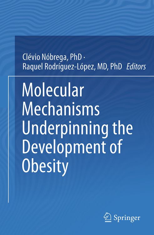 Produktbild: Molecular Mechanisms Underpinning the Development of Obesity