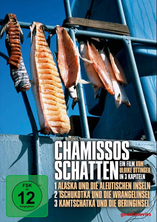 Produktbild: Chamissos Schatten [4 DVDs]