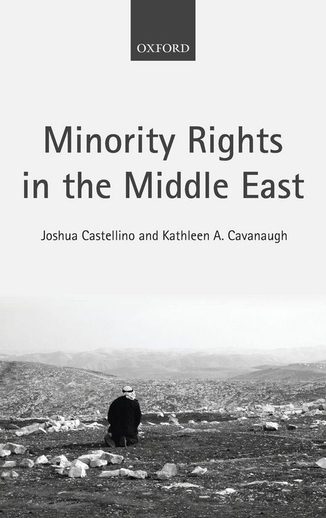 Produktbild: Minority Rights in Middle East C