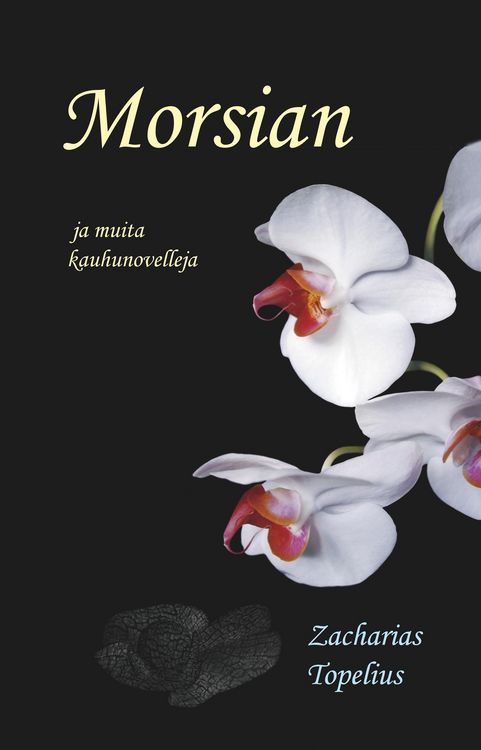 Produktbild: Morsian ja muita kauhunovelleja