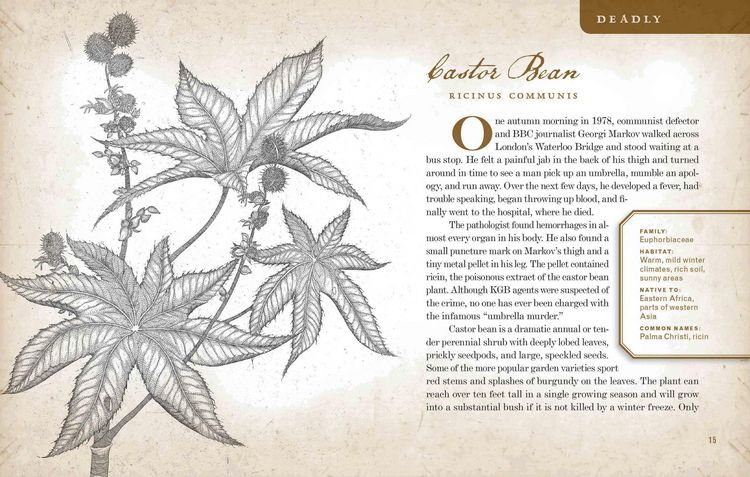 Produktbild: Wicked Plants