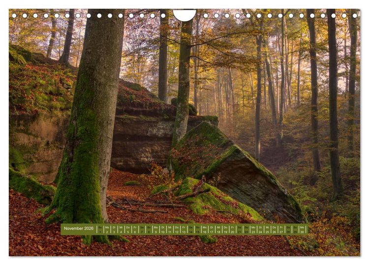 Produktbild: Magischer Pf&auml;lzer Wald (Wandkalender 2026 DIN A4 quer), CALVENDO Monatskalender