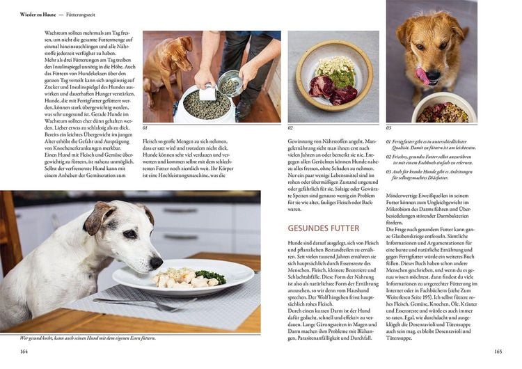 Produktbild: Hunde lesen lernen