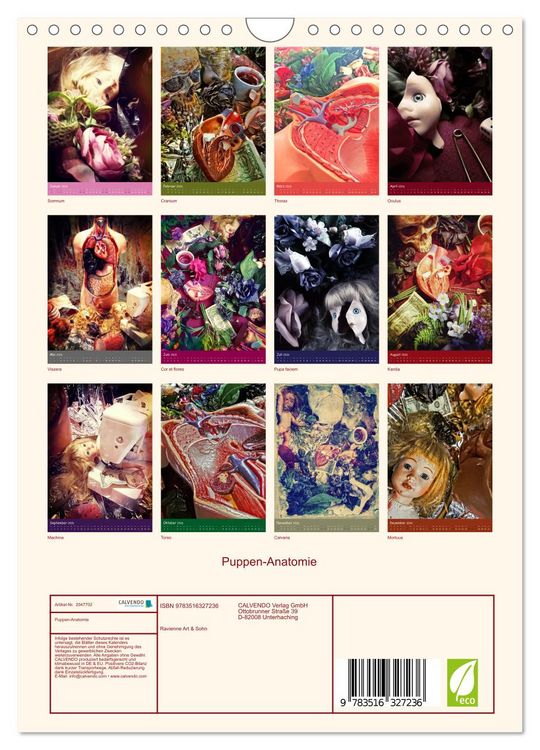 Produktbild: Puppen-Anatomie (Wandkalender 2026 DIN A4 hoch), CALVENDO Monatskalender