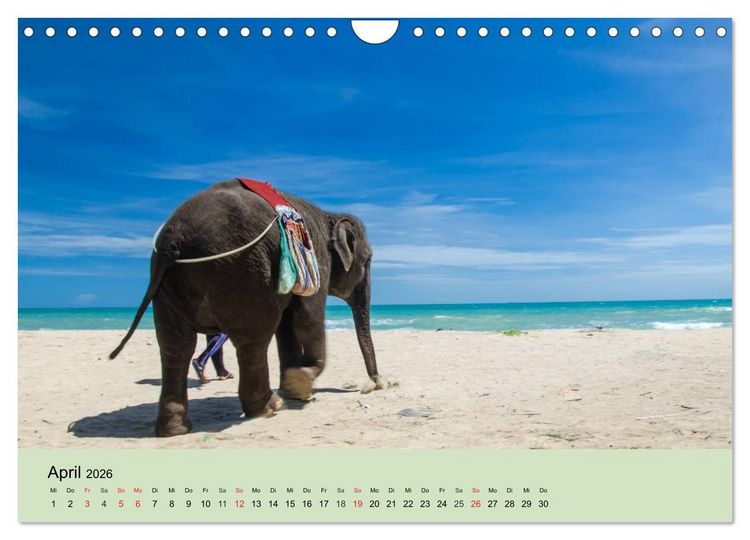 Produktbild: Elefanten. Badespa&szlig; am Strand (Wandkalender 2026 DIN A4 quer), CALVENDO Monatskalender