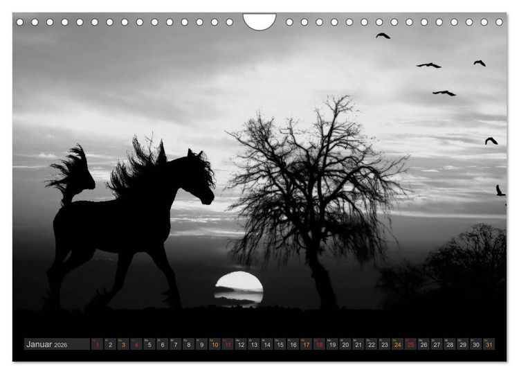 Produktbild: Sonne und Mond - faszinierend und anziehend (Wandkalender 2026 DIN A4 quer), CALVENDO Monatskalender