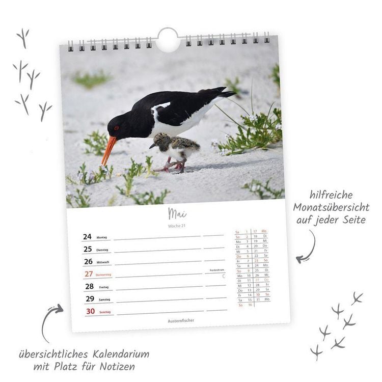 Produktbild: TR&Ouml;TSCH - Wochenkalender zum H&auml;ngen Heimische V&ouml;gel 2027