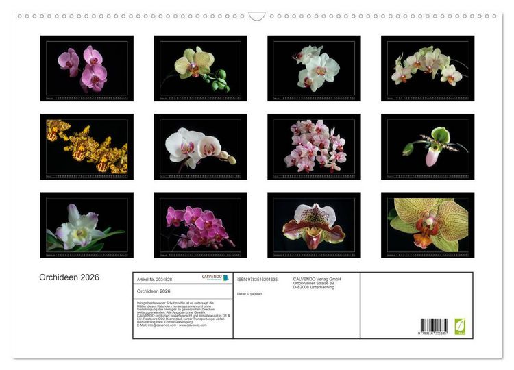 Produktbild: Orchideen 2026 (Wandkalender 2026 DIN A2 quer), CALVENDO Monatskalender
