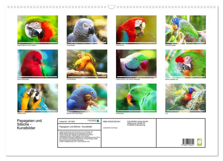 Produktbild: Papageien und Sittiche - Kunstbilder (Wandkalender 2026 DIN A2 quer), CALVENDO Monatskalender
