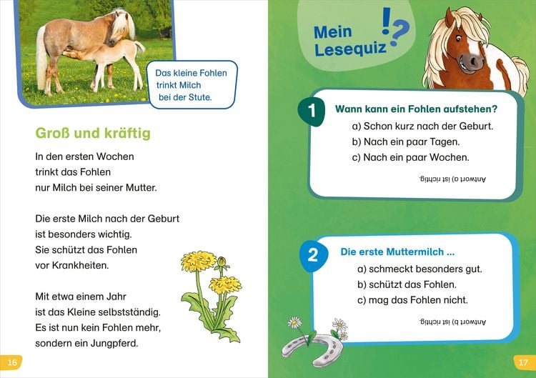 Produktbild: WAS IST WAS Erstes Lesen easy! Komm mit zu den Pferden
