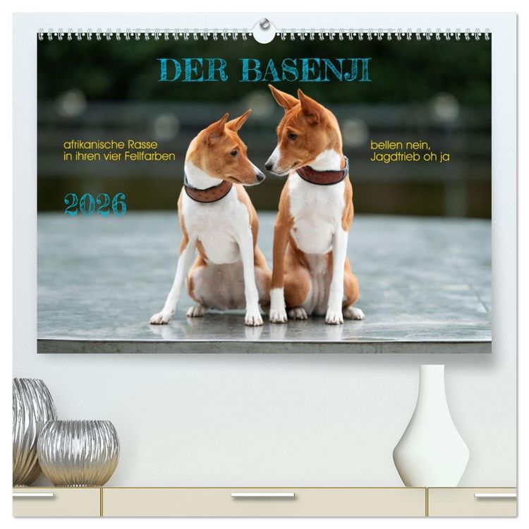 Produktbild: Der Basenji (hochwertiger Premium Wandkalender 2026 DIN A2 quer), Kunstdruck in Hochglanz