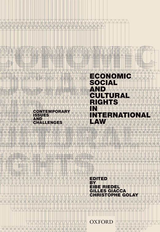 Produktbild: Economic, Social, and Cultural Rights in International Law