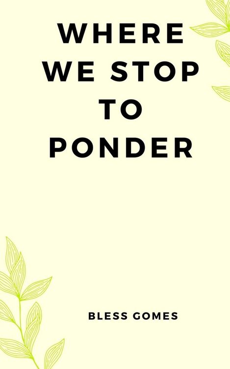 Produktbild: Where We Stop to Ponder
