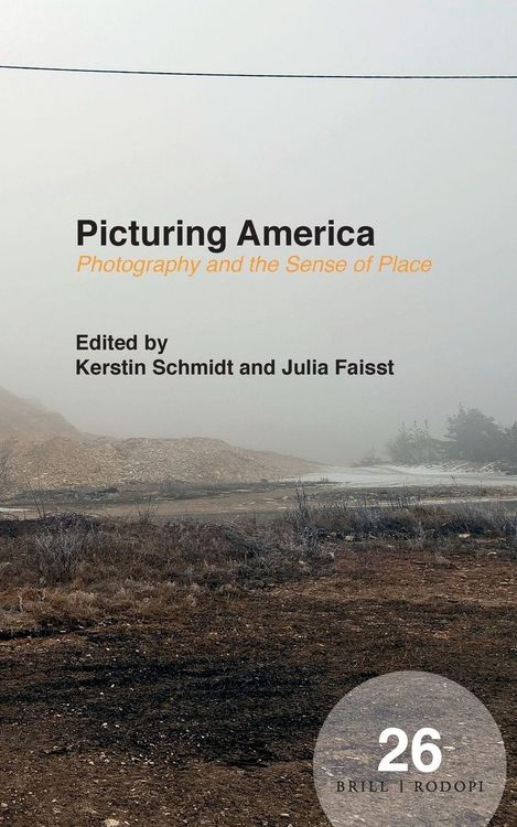 Produktbild: Picturing America