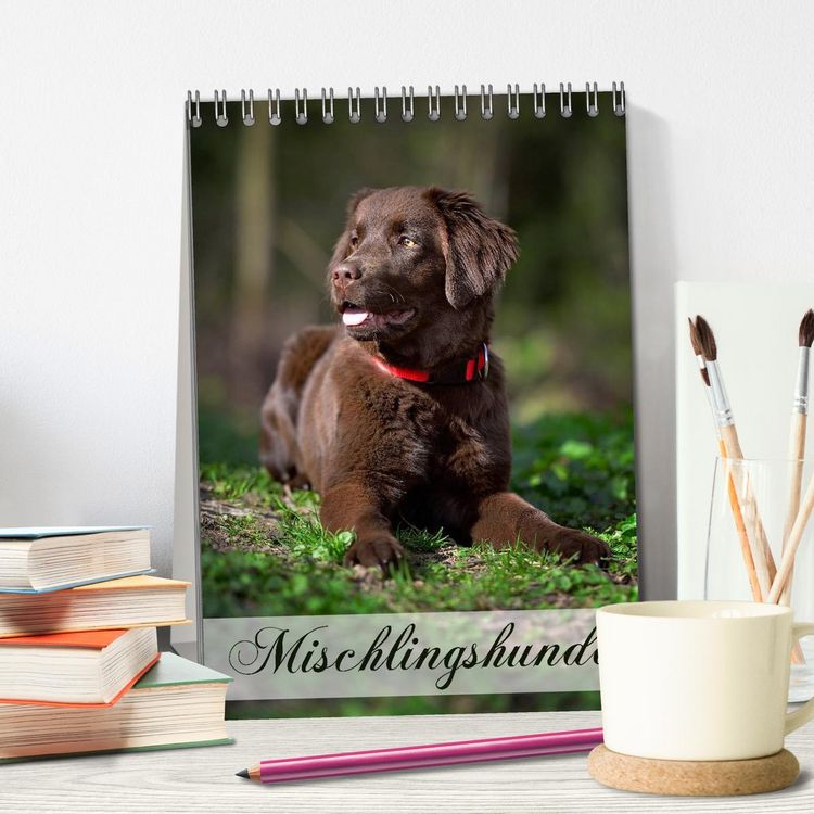 Produktbild: Mischlingshunde (Tischkalender 2026 DIN A5 hoch), CALVENDO Monatskalender