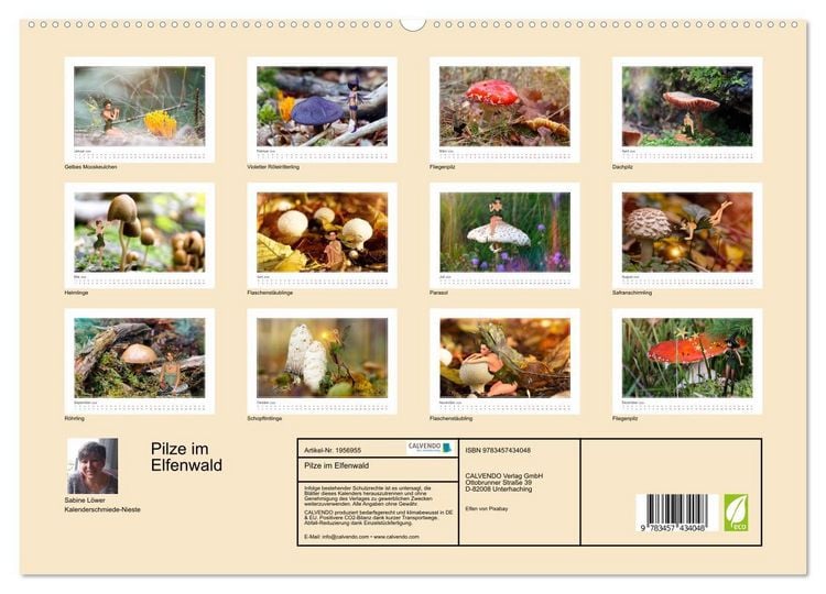 Produktbild: Pilze im Elfenwald (hochwertiger Premium Wandkalender 2026 DIN A2 quer), Kunstdruck in Hochglanz