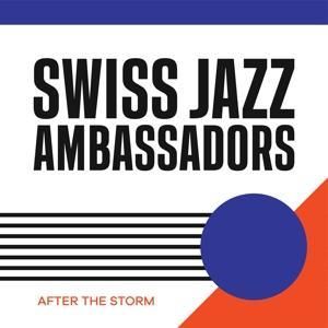 Produktbild: After the Storm