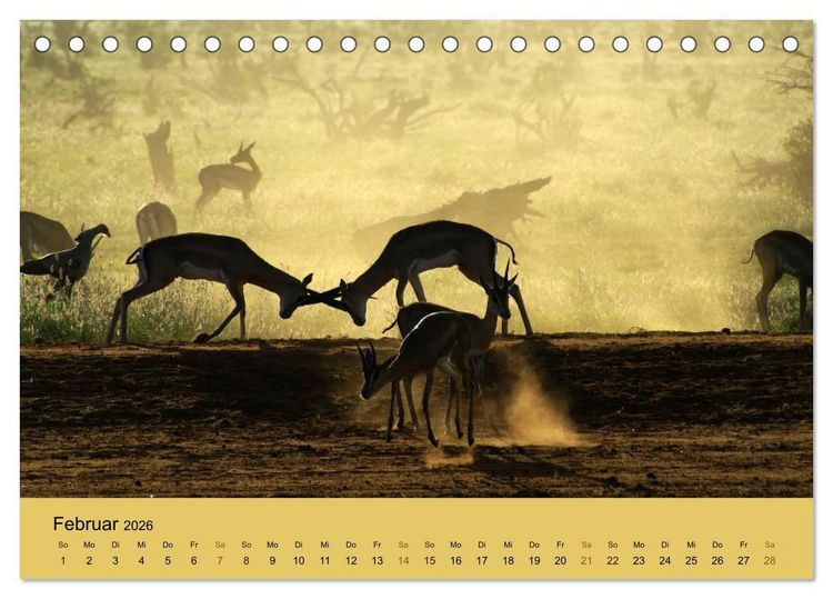 Produktbild: Safari Impressionen / Kenia (Tischkalender 2026 DIN A5 quer), CALVENDO Monatskalender