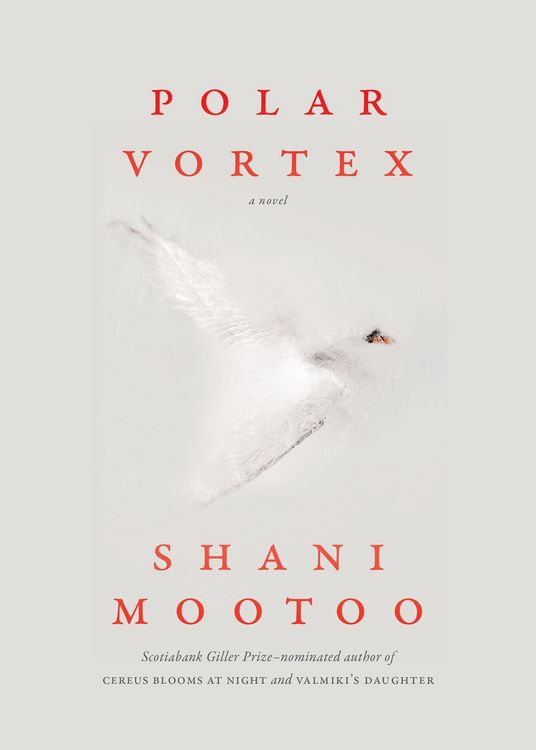 Produktbild: Polar Vortex