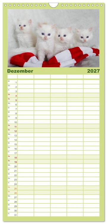 Produktbild: Familienplaner 2027 - Ragdoll Kitten mit 5 Spalten (Wandkalender, 21 x 45 cm) CALVENDO