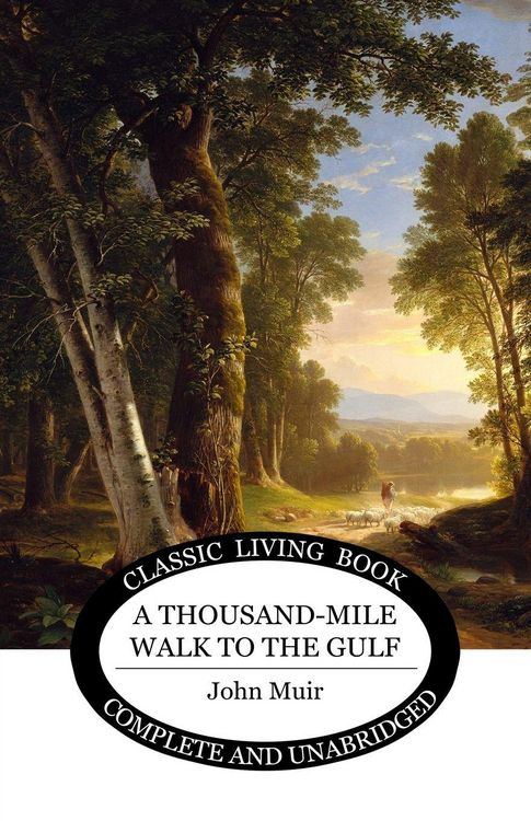 Produktbild: A Thousand-Mile Walk to the Gulf