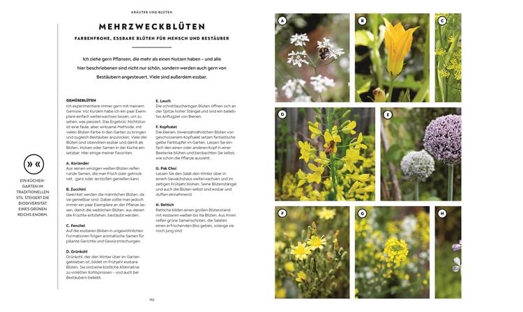Produktbild: Mein Gem&uuml;segarten