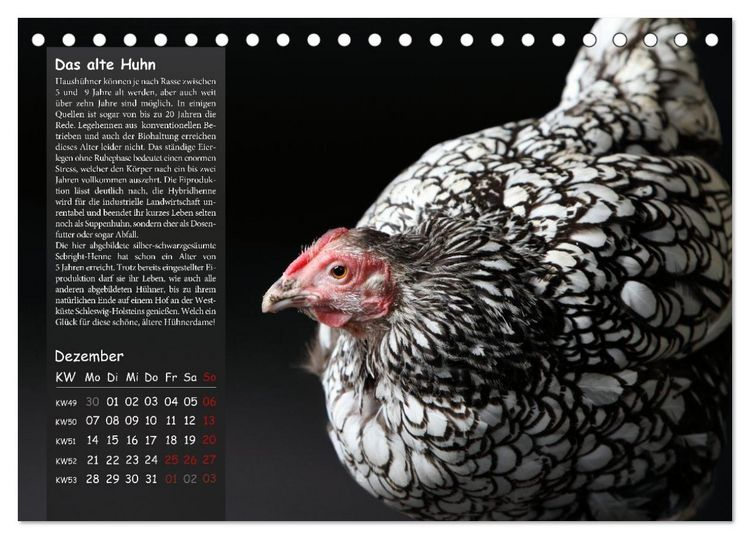 Produktbild: Von der Einzigartigkeit der H&uuml;hner 2026 (Tischkalender 2026 DIN A5 quer), CALVENDO Monatskalender