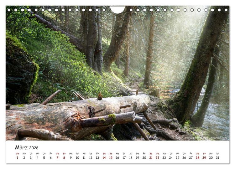 Produktbild: Heimat Entdecken - Eifel (Wandkalender 2026 DIN A4 quer), CALVENDO Monatskalender