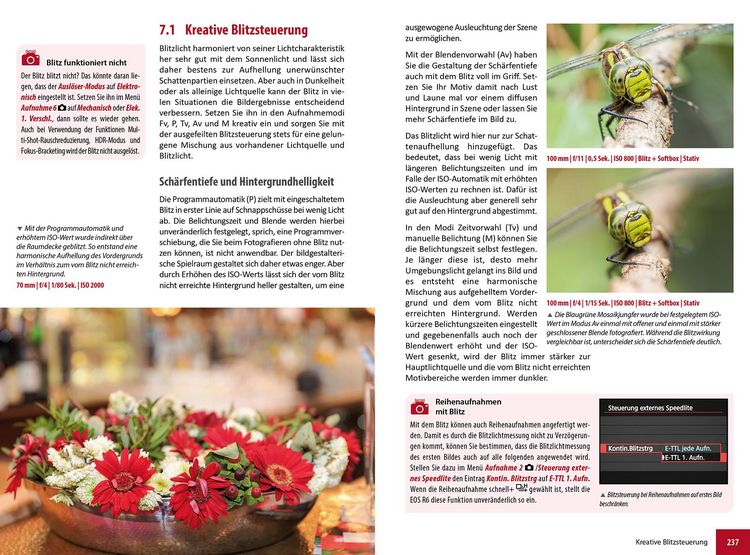 Produktbild: Canon EOS R6