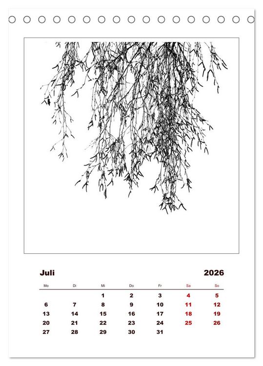 Produktbild: LignoGrafica - Muster und Strukturen der B&auml;ume (Tischkalender 2026 DIN A5 hoch), CALVENDO Monatskalender