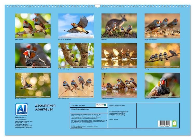 Produktbild: Zebrafinken Abenteuer (Wandkalender 2027 DIN A2 quer), CALVENDO Monatskalender