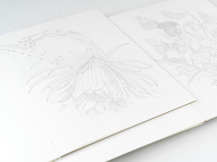 Produktbild: Natural History