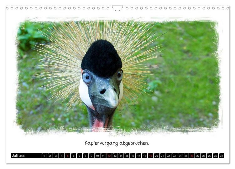 Produktbild: Tierisch witzig (Wandkalender 2026 DIN A3 quer), CALVENDO Monatskalender