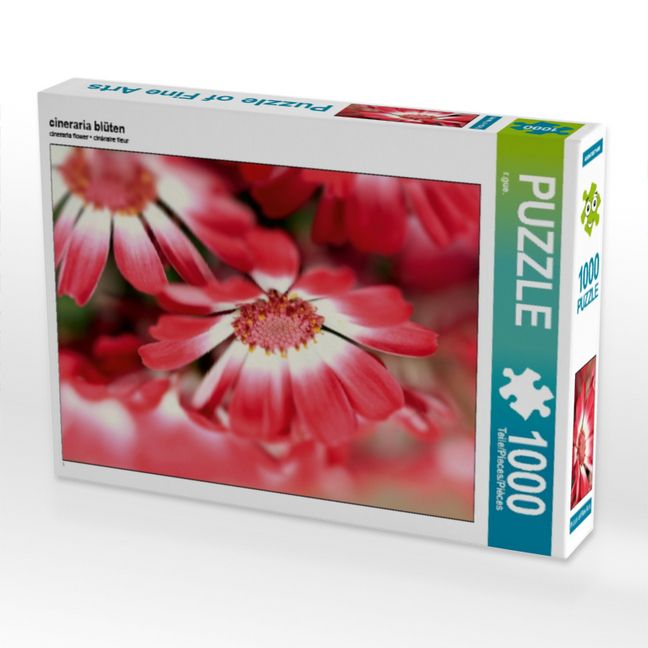 Produktbild: CALVENDO Puzzle cineraria bl&uuml;ten | 1000 Teile Lege-Gr&ouml;&szlig;e 64x48cm Foto-Puzzle f&uuml;r gl&uuml;ckliche Stunden