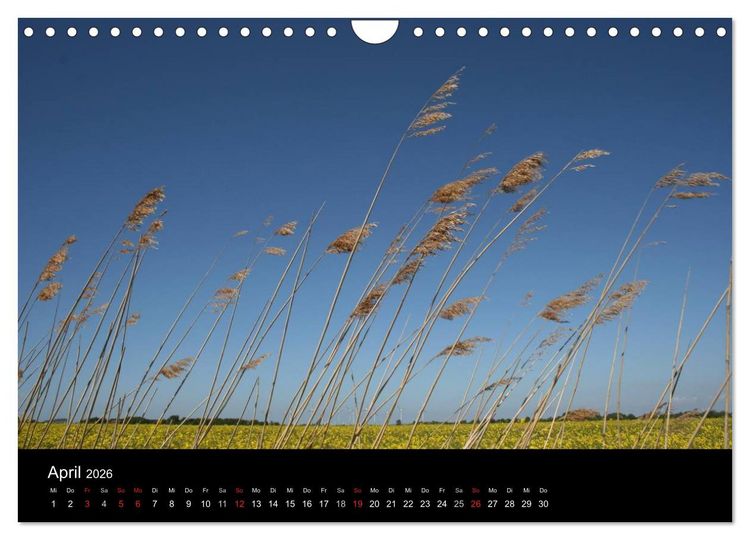 Produktbild: Wunderbare Nordsee (Wandkalender 2026 DIN A4 quer), CALVENDO Monatskalender