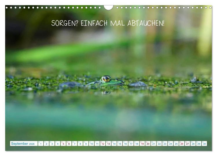 Produktbild: Humorvolles aus der Tierwelt (Wandkalender 2026 DIN A3 quer), CALVENDO Monatskalender