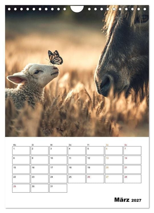 Produktbild: Ein Herz und eine Schnauze - Ein tierisch buntes Miteinander (Wandkalender 2027 DIN A4 hoch), CALVENDO Monatskalender