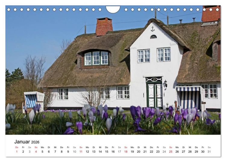 Produktbild: Friesenh&auml;user (Wandkalender 2026 DIN A4 quer), CALVENDO Monatskalender