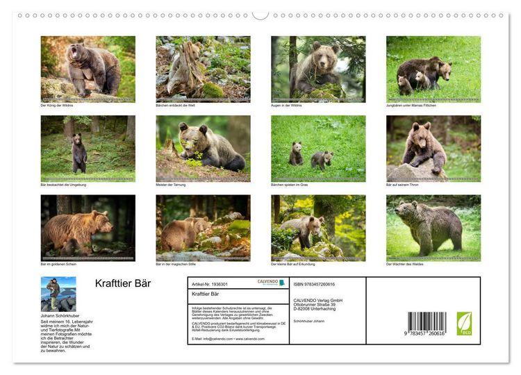 Produktbild: Krafttier B&auml;r (hochwertiger Premium Wandkalender 2026 DIN A2 quer), Kunstdruck in Hochglanz