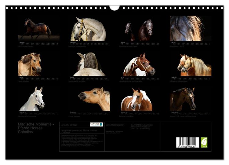 Produktbild: Magische Momente - Pferde Horses Caballos (Wandkalender 2026 DIN A3 quer), CALVENDO Monatskalender