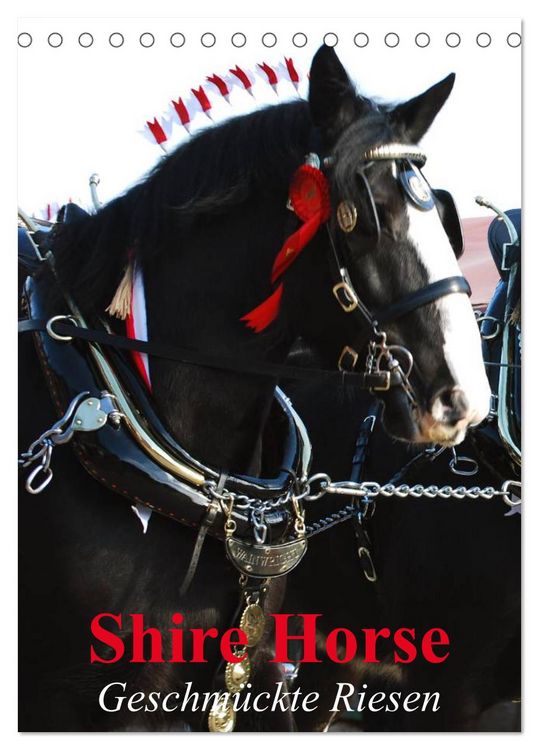 Produktbild: Shire Horse - Geschm&uuml;ckte Riesen (Tischkalender 2026 DIN A5 hoch), CALVENDO Monatskalender