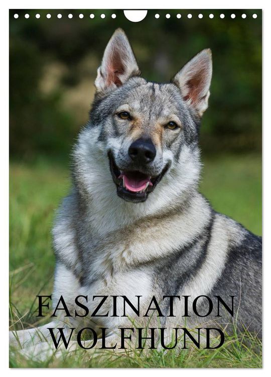 Produktbild: Faszination Wolfhund (Wandkalender 2026 DIN A4 hoch), CALVENDO Monatskalender