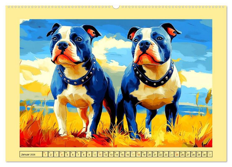 Produktbild: Pit Bulls und Familie. Bunte Bull Breed Sch&ouml;nheiten (hochwertiger Premium Wandkalender 2026 DIN A2 quer), Kunstdruck in Hochglanz