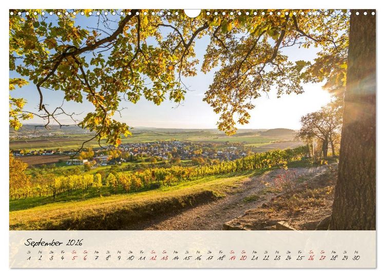 Produktbild: Lieblingsorte in und um T&uuml;bingen (Wandkalender 2026 DIN A3 quer), CALVENDO Monatskalender