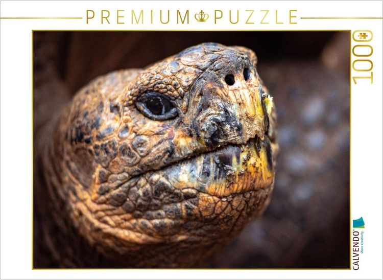 Produktbild: CALVENDO Puzzle Galapagos Riesenschildkr&ouml;te | 1000 Teile Lege-Gr&ouml;&szlig;e 64x48cm Foto-Puzzle f&uuml;r gl&uuml;ckliche Stunden